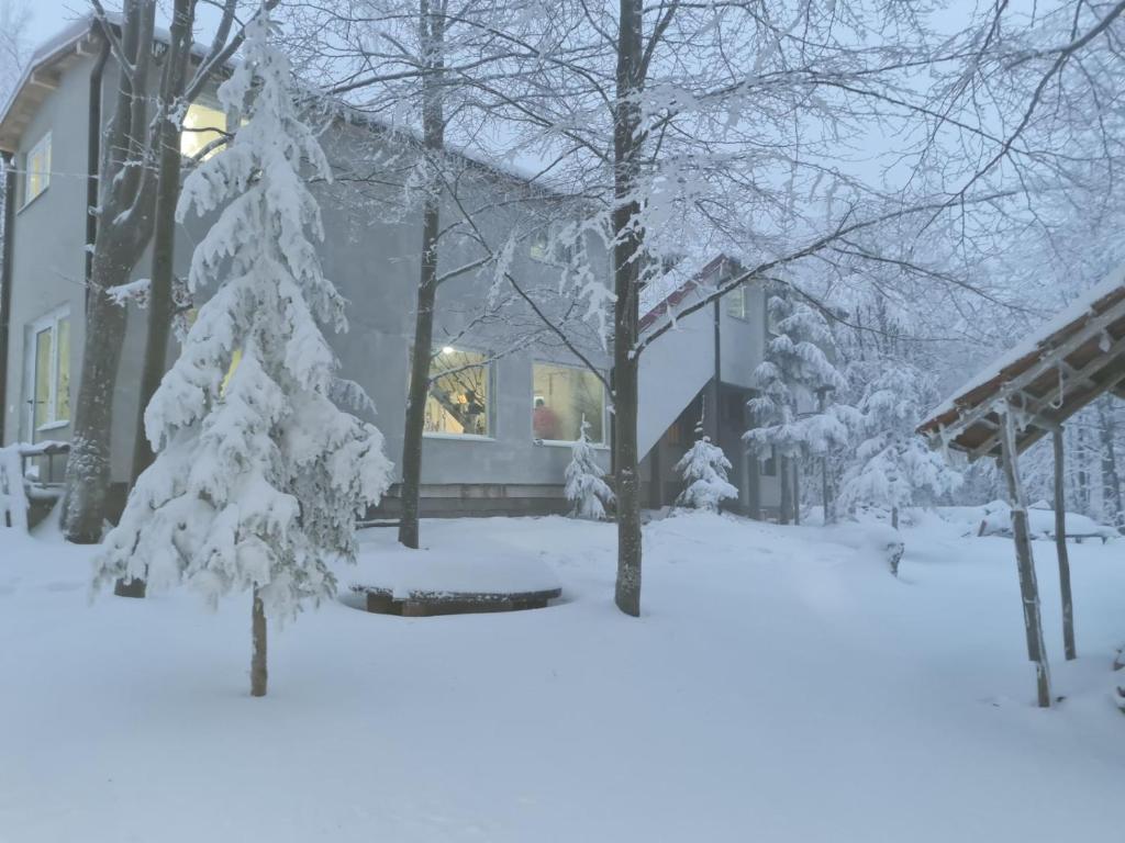 una casa nella neve con alberi innevati di Apartmani SP Jovanovic a Crni Vrh