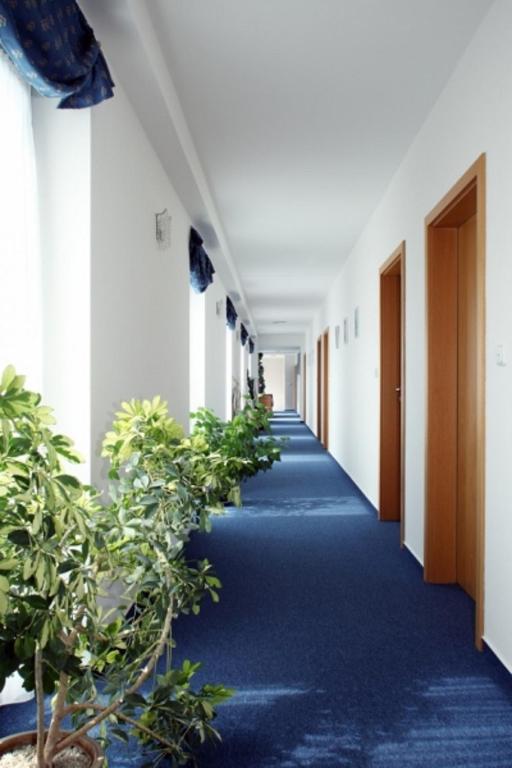 Hotel U Karla - Resim 13