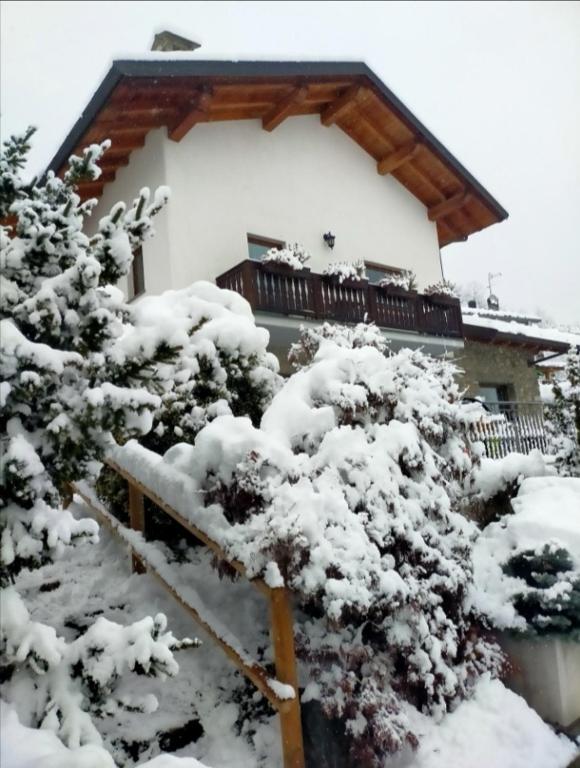 La Sarrolein CIR 0009 v zimě
