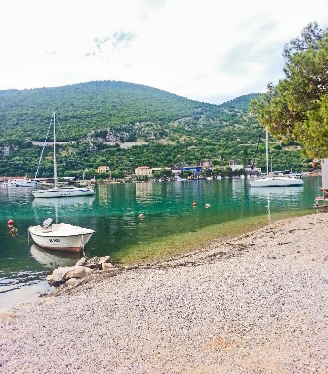 Príroda v okolí apartmánu