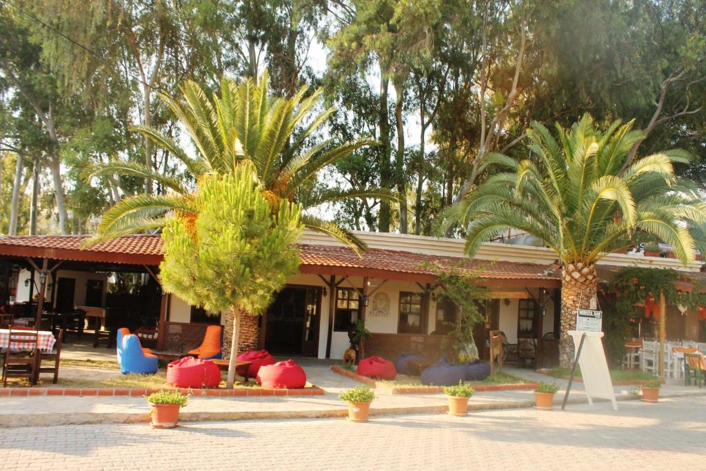 Zahrada ubytování Medusa Camping