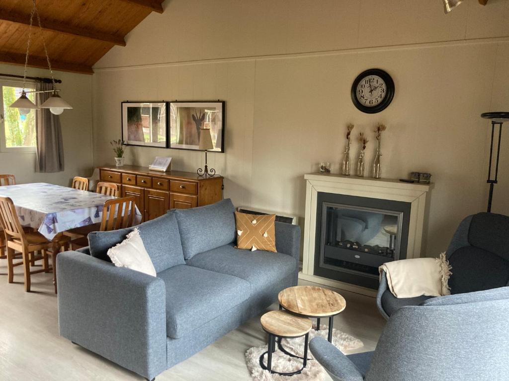 ein Wohnzimmer mit einem blauen Sofa und einem Kamin in der Unterkunft Familie Meys Chalets - Chalet 236 - La Boverie in Rendeux