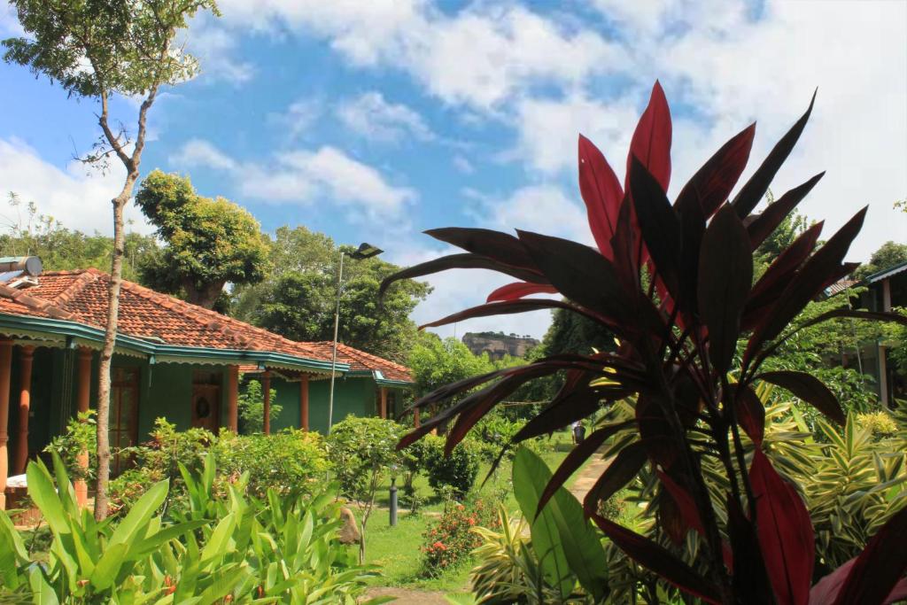 una casa verde con una palmera delante de ella en Sigiriya Melrose Villas en Sigiriya
