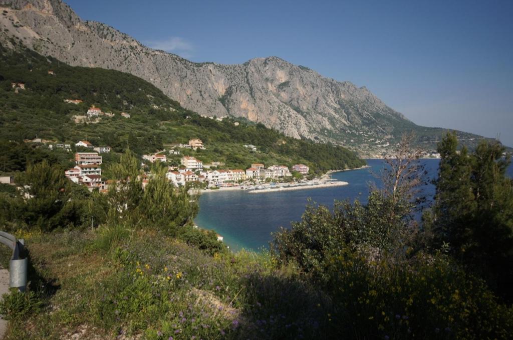 Príroda v okolí apartmánu