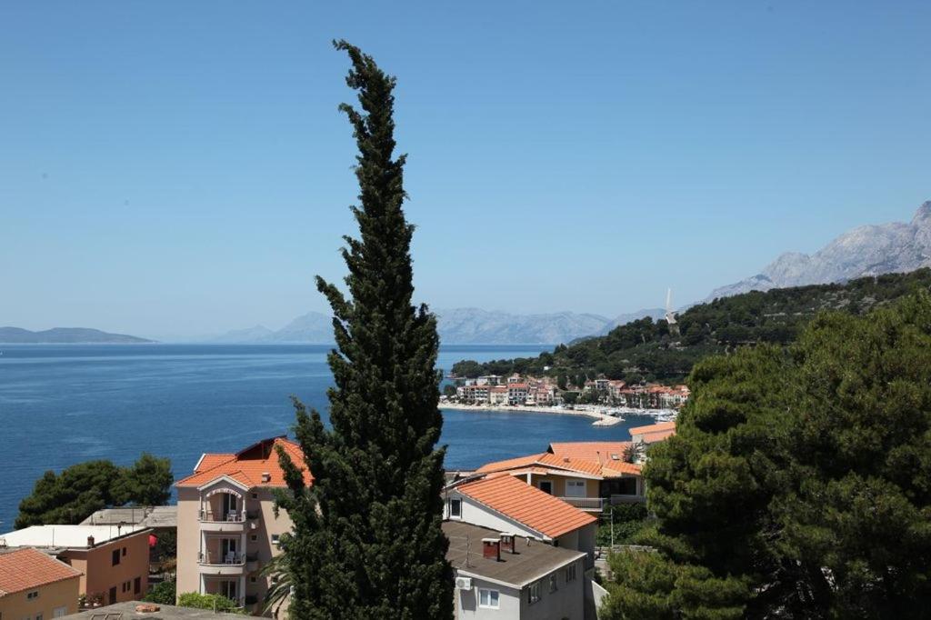 Apartment in Podgora with sea view, terrace, air conditioning, WiFi 849-3