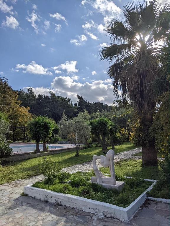 Zahrada ubytování Artemis Studios - Pool and garden