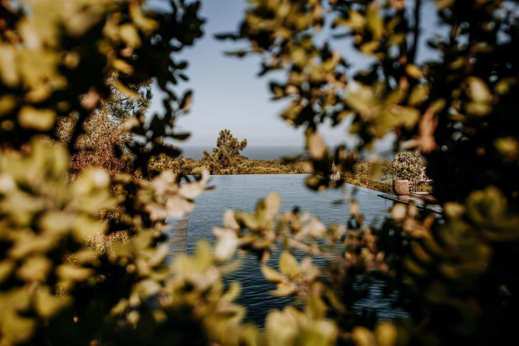 Naturlandskap nära hotellet