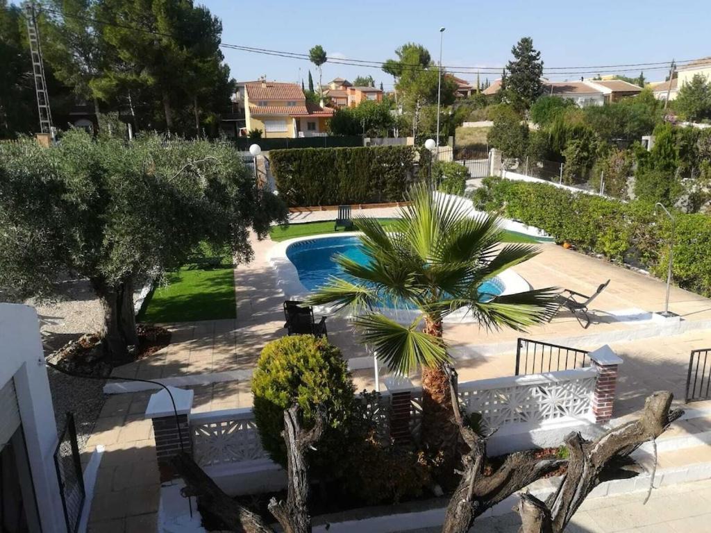 una palmera sentada junto a una piscina en Casa Martin, en Murcia