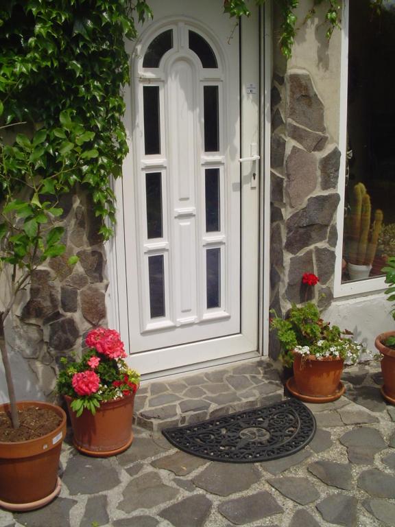 Zahrada ubytování Villa Ametyst