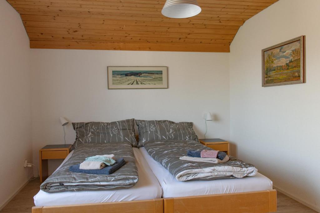 - un lit avec 2 oreillers dans l'établissement BnB Bergsicht, à Dettighofen