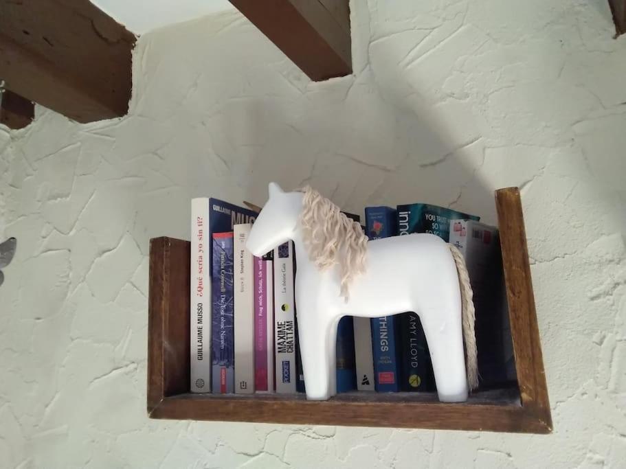 Zvířata v apartmánu nebo okolí