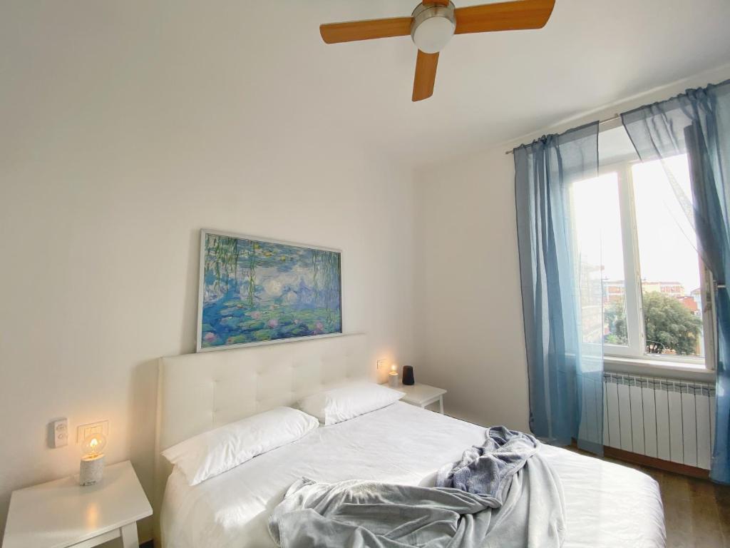 1 dormitorio con 1 cama, ventilador de techo y ventana en B&B La Locanda Chic, en Grosseto