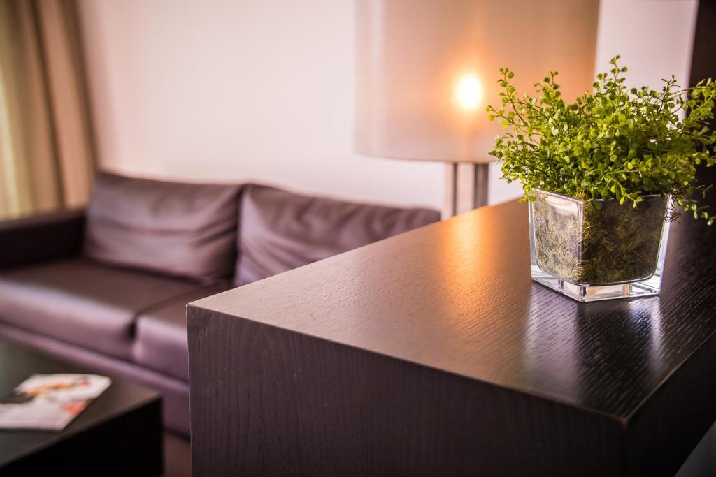 a table with a potted plant on it in a living room at RR Hotel da Rocha in Portimão