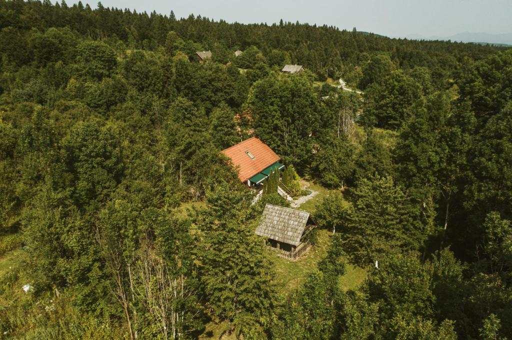 Příroda nedaleko prázdninového domu