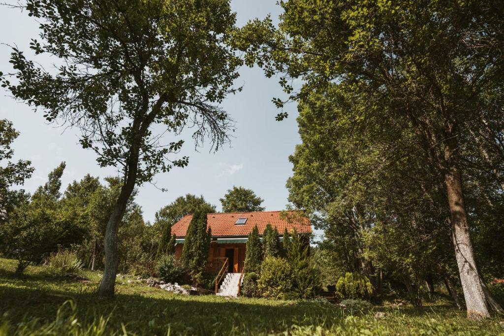 Zahrada ubytování House Poljana