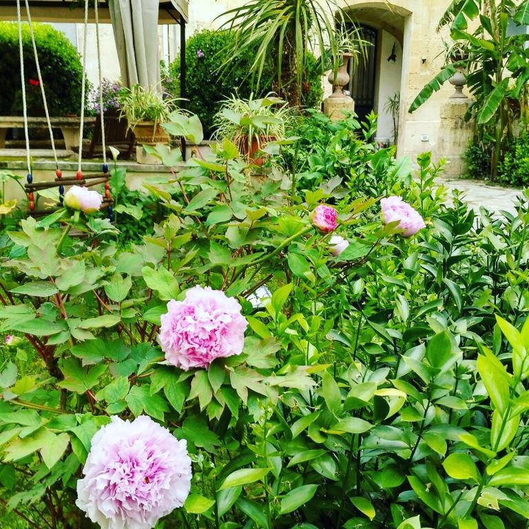Zahrada ubytování B&b l'Orangerie D'epoque