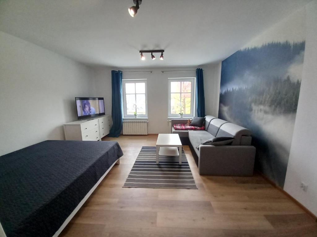 a bedroom with a bed and a couch and a tv at Apartamenty Kościuszki in Stronie Śląskie