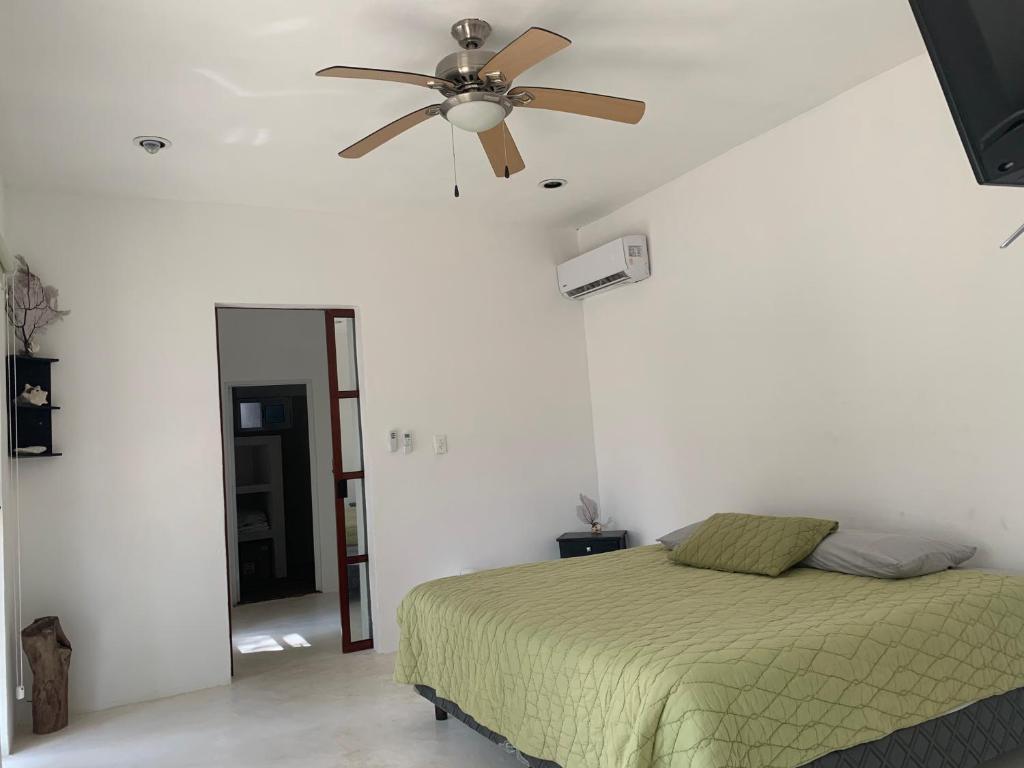 BlueStar - Housity