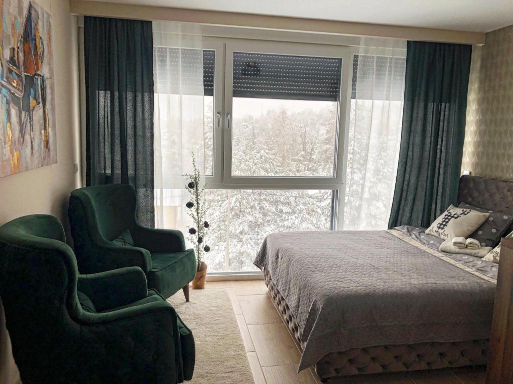 um quarto com uma cama, uma cadeira e uma janela em Apartman Ambijent Divcibare em Divčibare