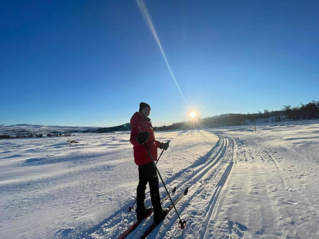une personne est à skis dans la neige dans l'établissement Torsetlia, à Dagali