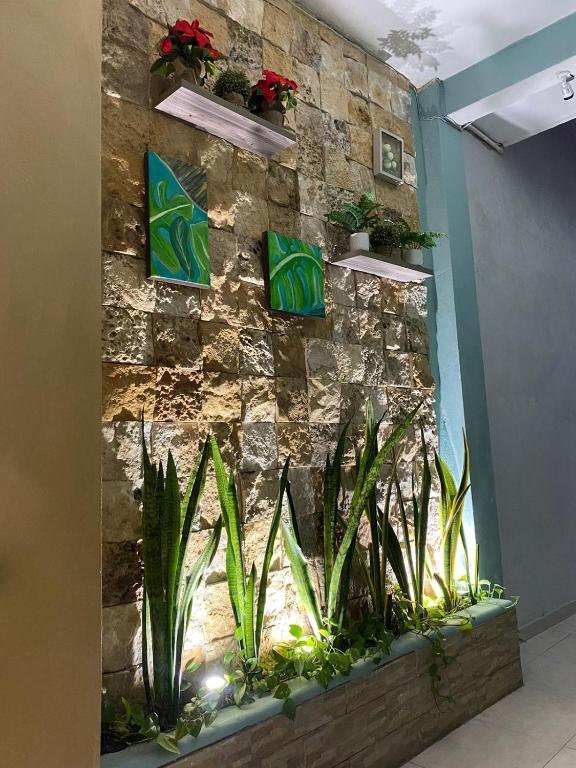 Fotografie z fotogalerie ubytování Hotel San Miguel v destinaci Progreso