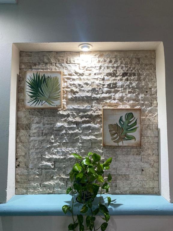 Fotografie z fotogalerie ubytování Hotel San Miguel v destinaci Progreso