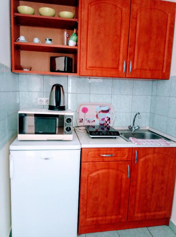 Kuchyňa alebo kuchynka v ubytovaní HAUS FERENCZ Bötös Villa