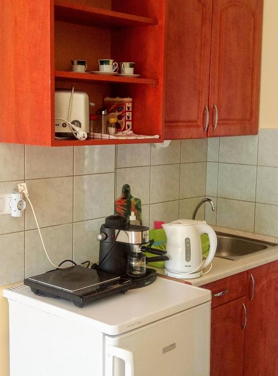 Kuchyňa alebo kuchynka v ubytovaní HAUS FERENCZ Bötös Villa