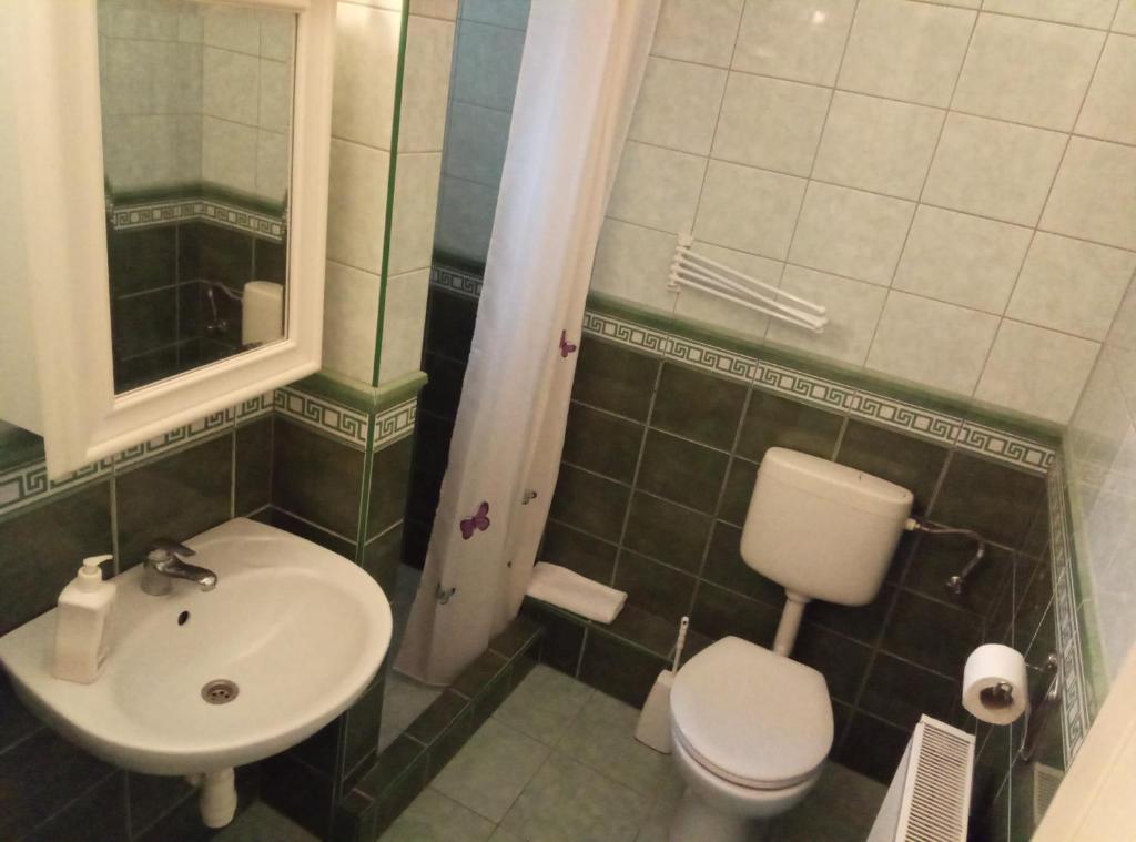 Kúpeľňa v ubytovaní HAUS FERENCZ Bötös Villa