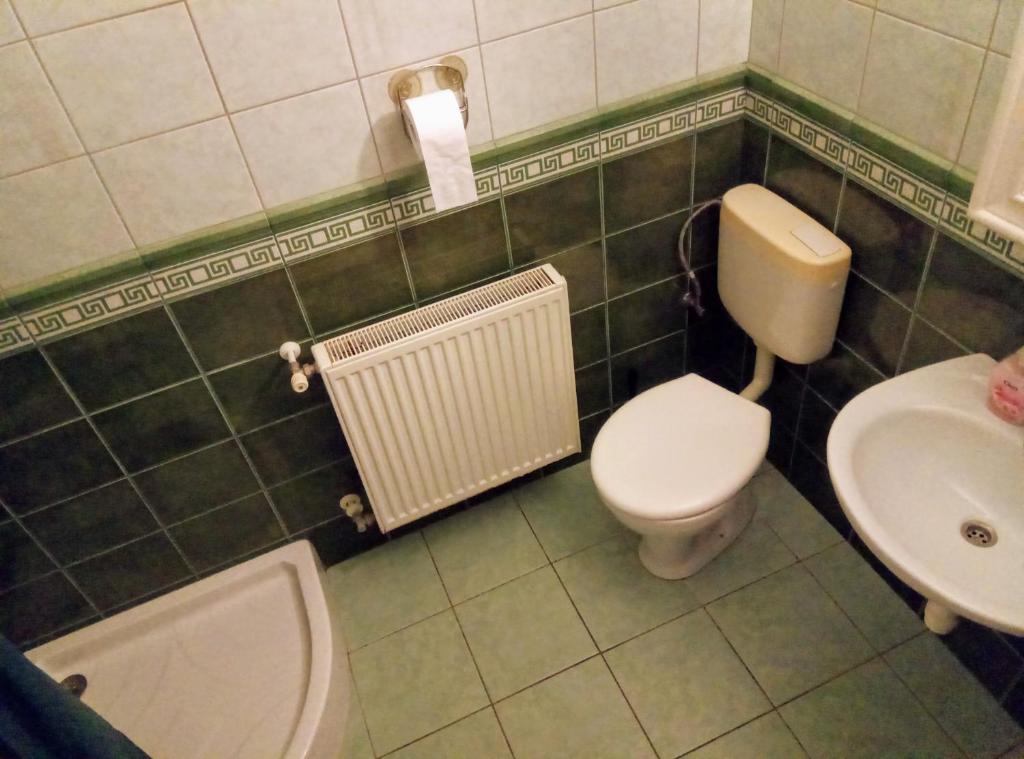 Kúpeľňa v ubytovaní HAUS FERENCZ Bötös Villa