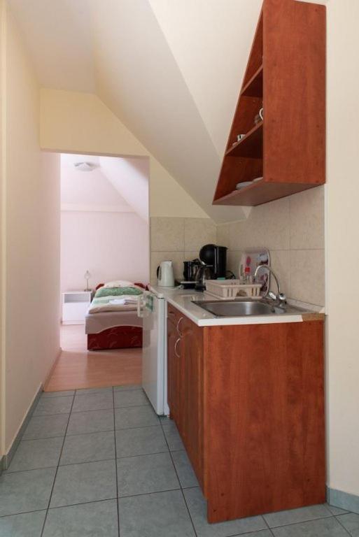 Kuchyňa alebo kuchynka v ubytovaní HAUS FERENCZ Bötös Villa