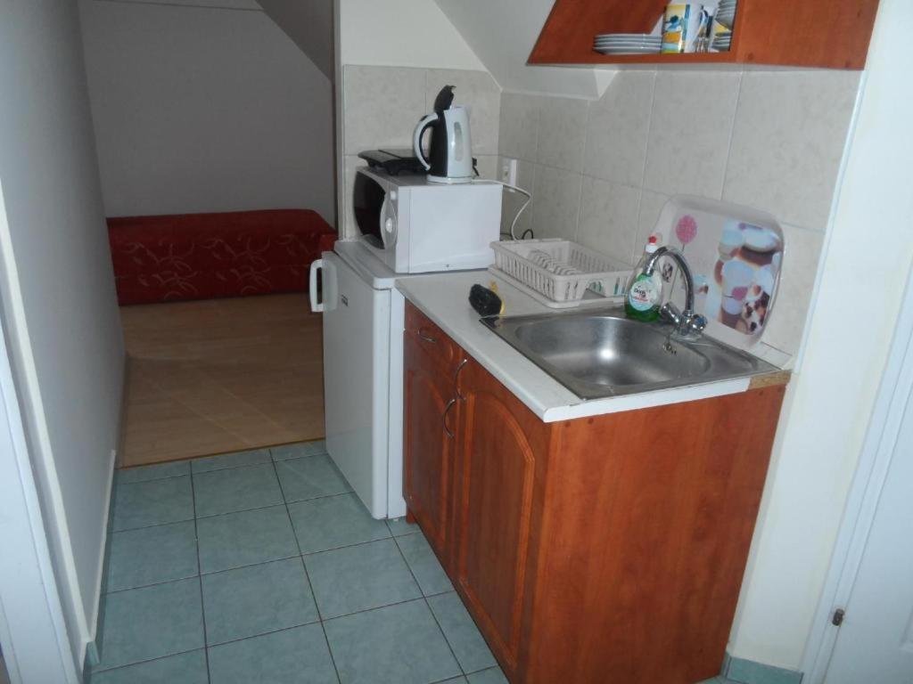 Kuchyňa alebo kuchynka v ubytovaní HAUS FERENCZ Bötös Villa