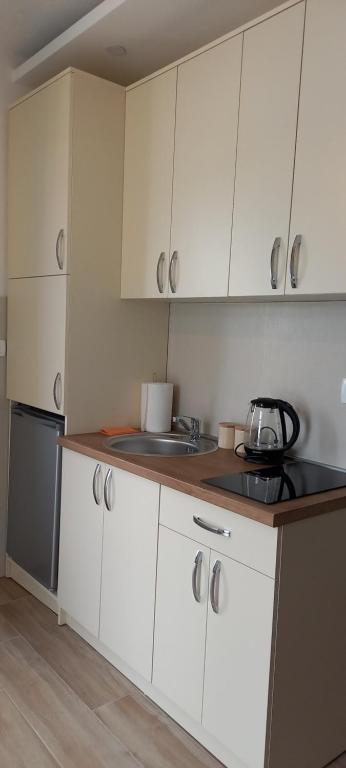 Kuchyň nebo kuchyňský kout v ubytování Cozy Home Kolasin