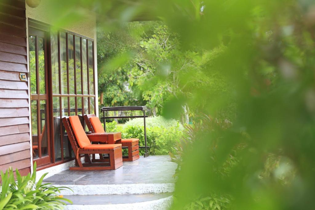 Viva Vacation Resort - 10