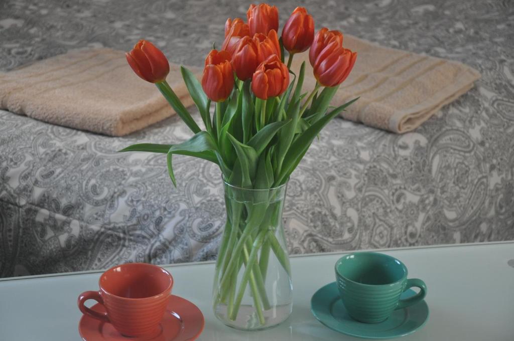 a vase of red tulips on a table with two cups at Apartament przy Parku Czartoryskich in Puławy