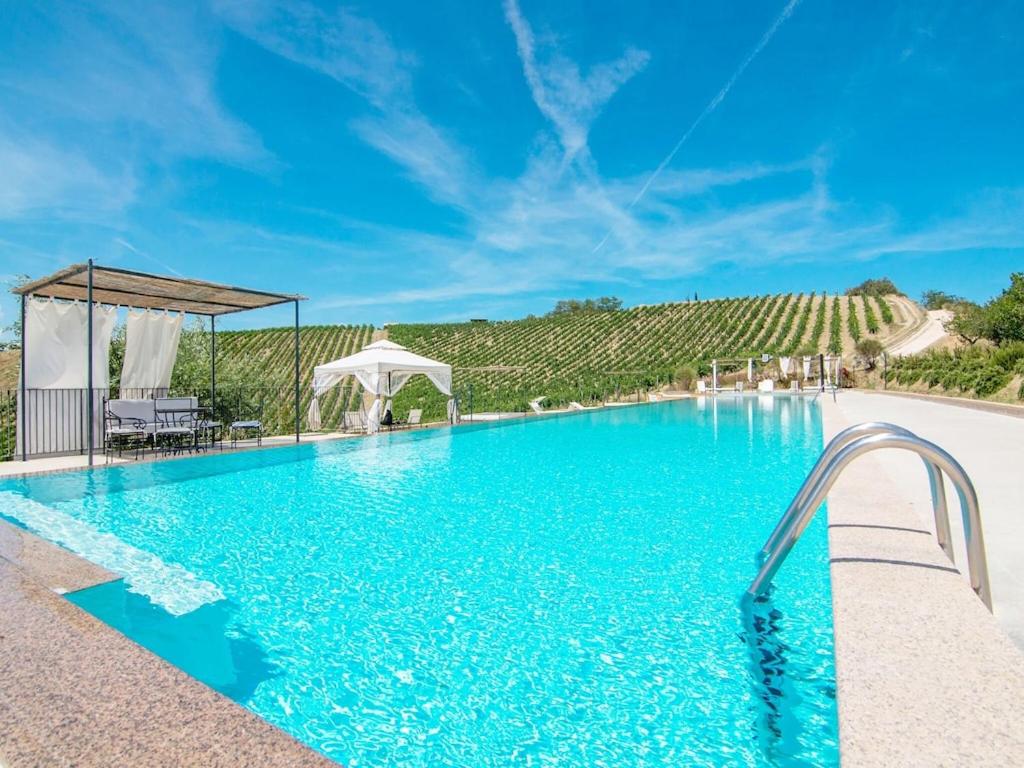 a swimming pool with blue water in front of a vineyard at Belvilla by OYO Giglio in Ascoli Piceno