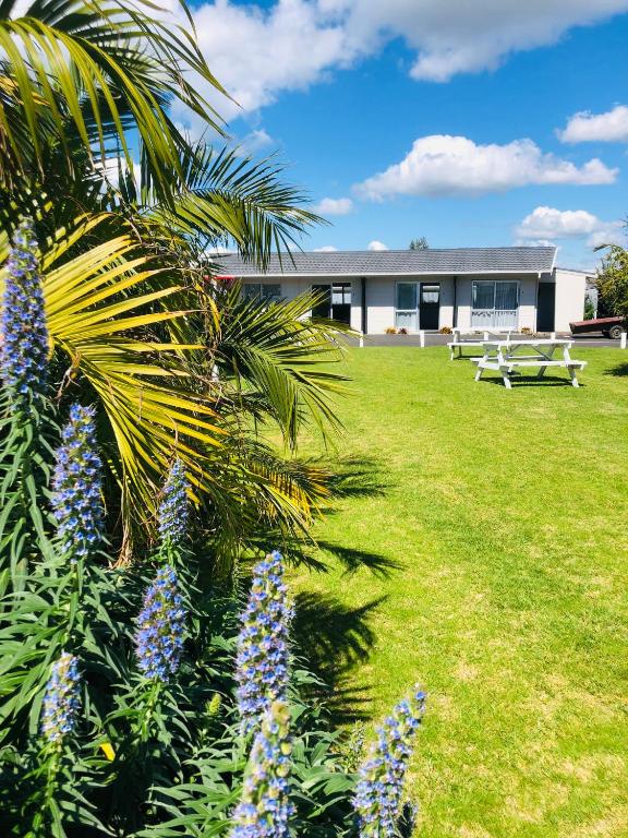 Blue Haven Motel - Resim 5