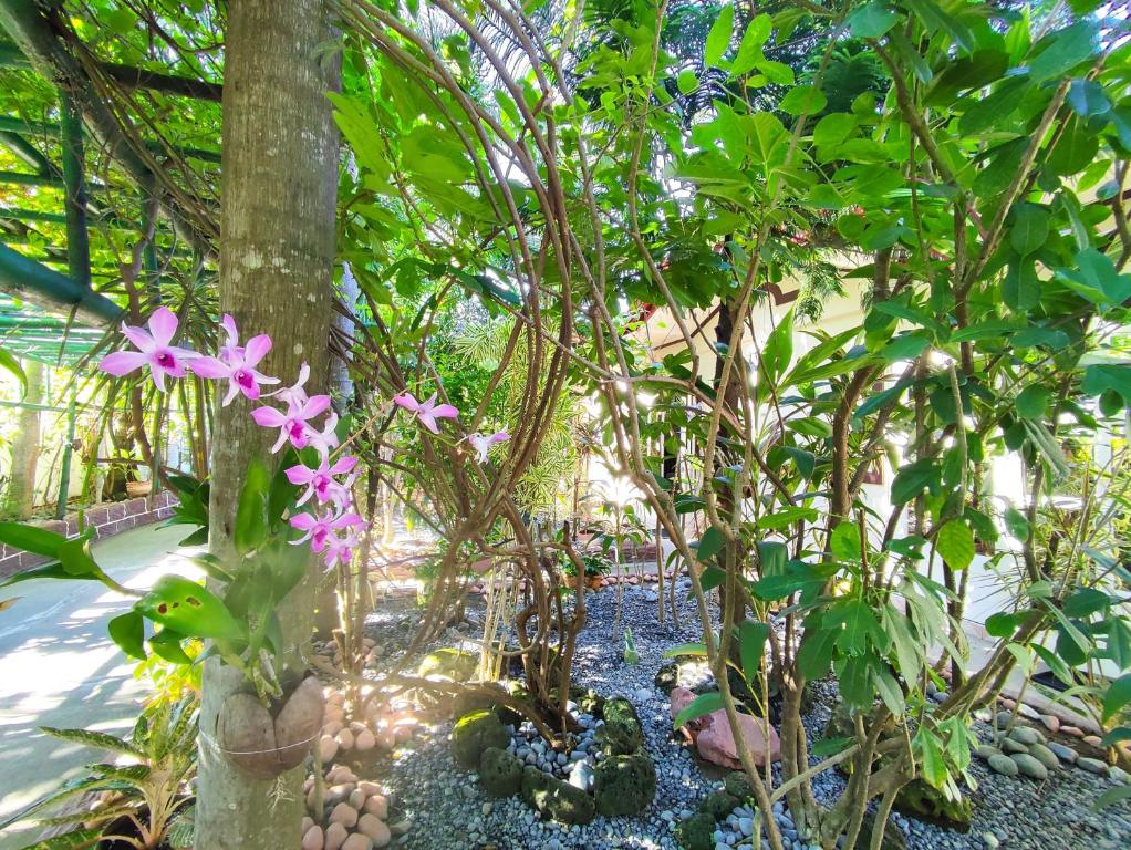 Olana Bed and Breakfast - Twin Room With Garden View