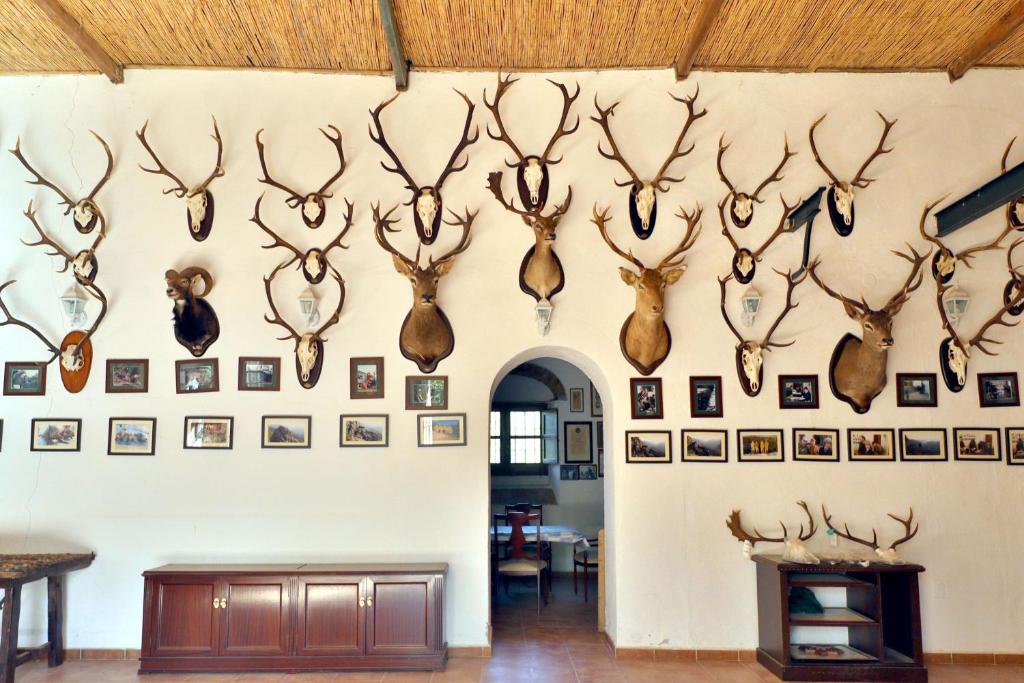 Fotografie z fotogalerie ubytování Casa Rural COMPLETA Finca Los Conventos en Adamuz; Córdoba v destinaci Adamuz