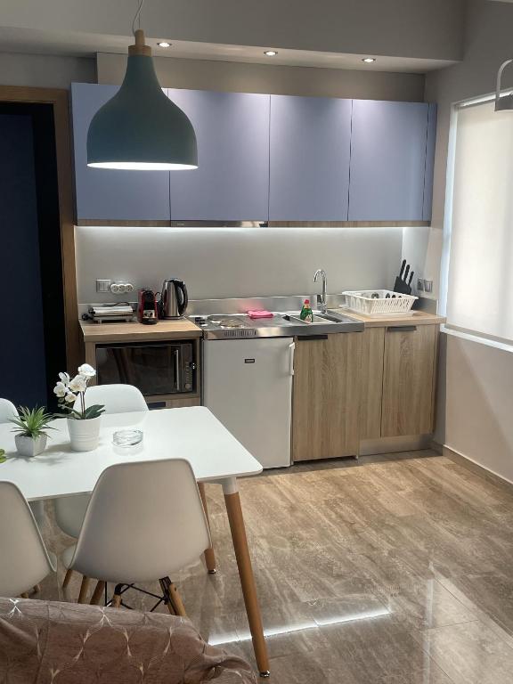 Kuchyňa alebo kuchynka v ubytovaní WUKELA APARTMENTS