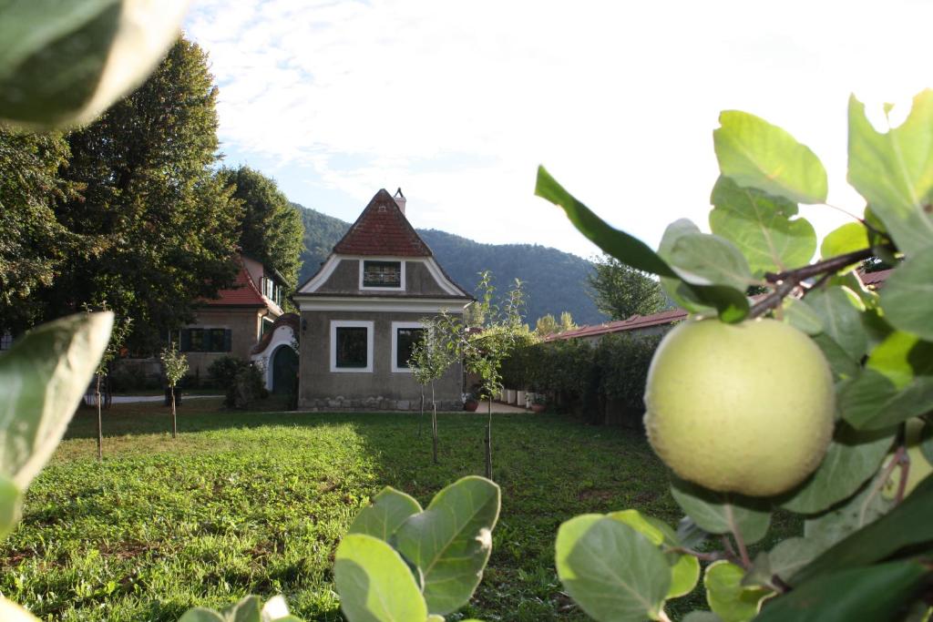 un manzano frente a una casa en Bioweingut Schmidl Rosenstöckel, en Dürnstein