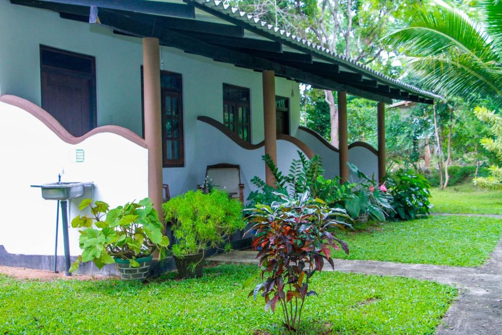 Zahrada ubytování Nimsara Lodge Sigiriya