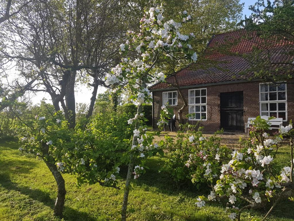 une maison avec un arbre à fleurs devant elle dans l'établissement Uilengeluk, à Veere