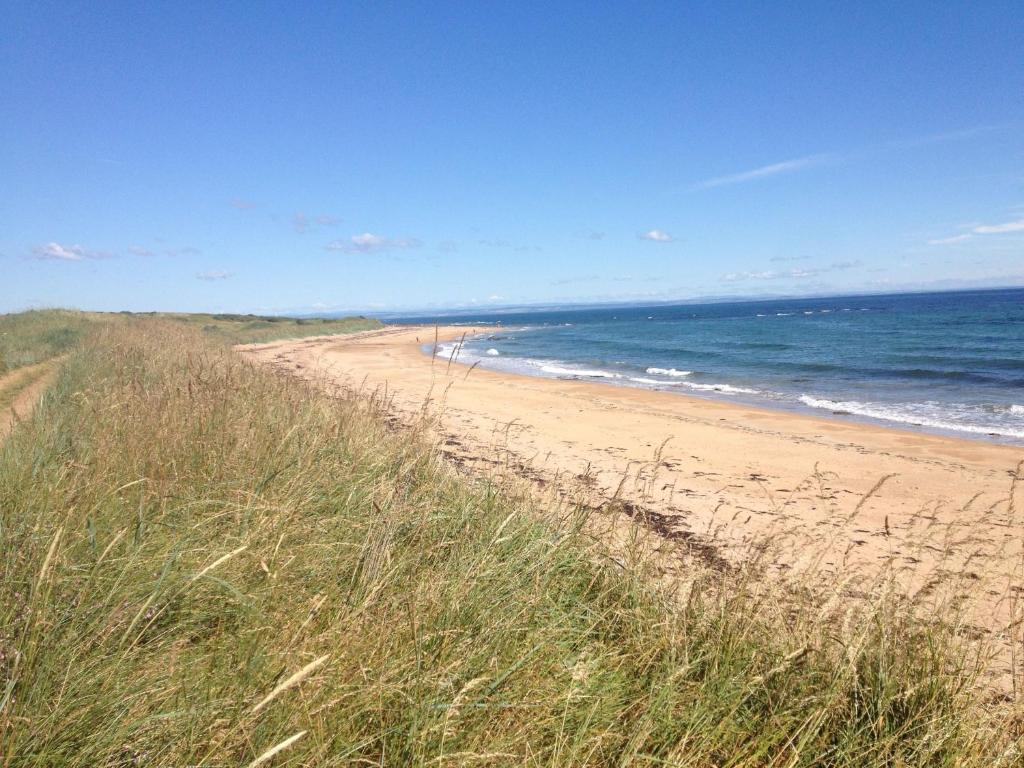 a sandy beach with people walking on the ocean at COASTAL COTTAGE ideal for golf, walking and cycling in Kingsbarns