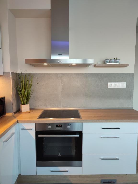 Kuchyň nebo kuchyňský kout v ubytování Gamma Apartmanok és Jakuzzi