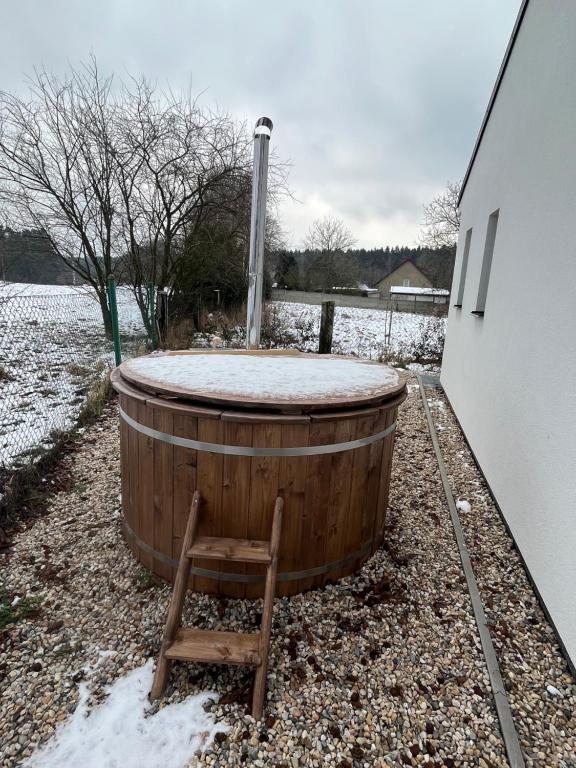 Vilka Petra pod Bezdězem talvel