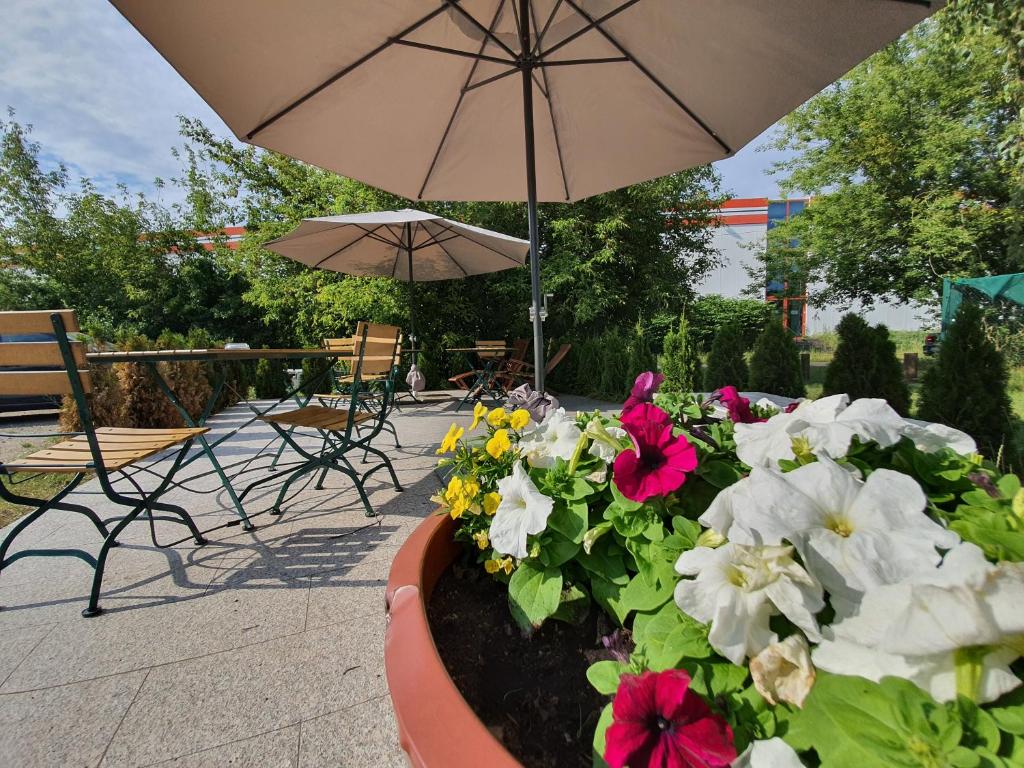 Zahrada ubytování Apart Hotel Ferdinand Berlin