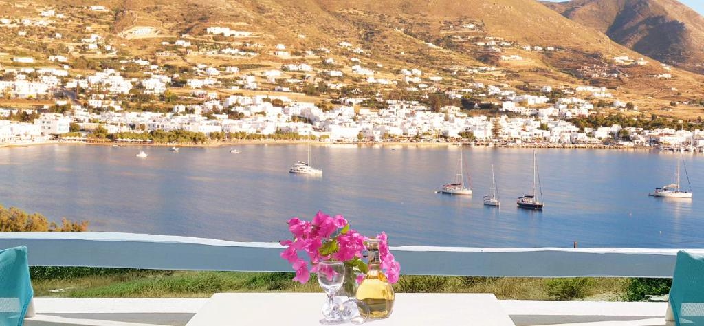 un jarrón de flores sobre una mesa con vistas al lago en Paros Paradise Apartments en Parikia