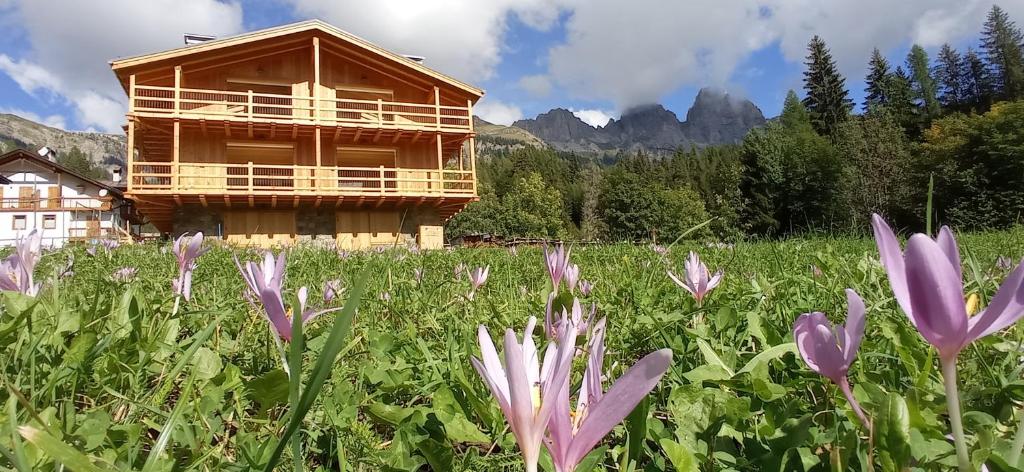 una casa de madera en un campo con flores púrpuras en Tabià sui Prati- Appartamento Marco, en Falcade