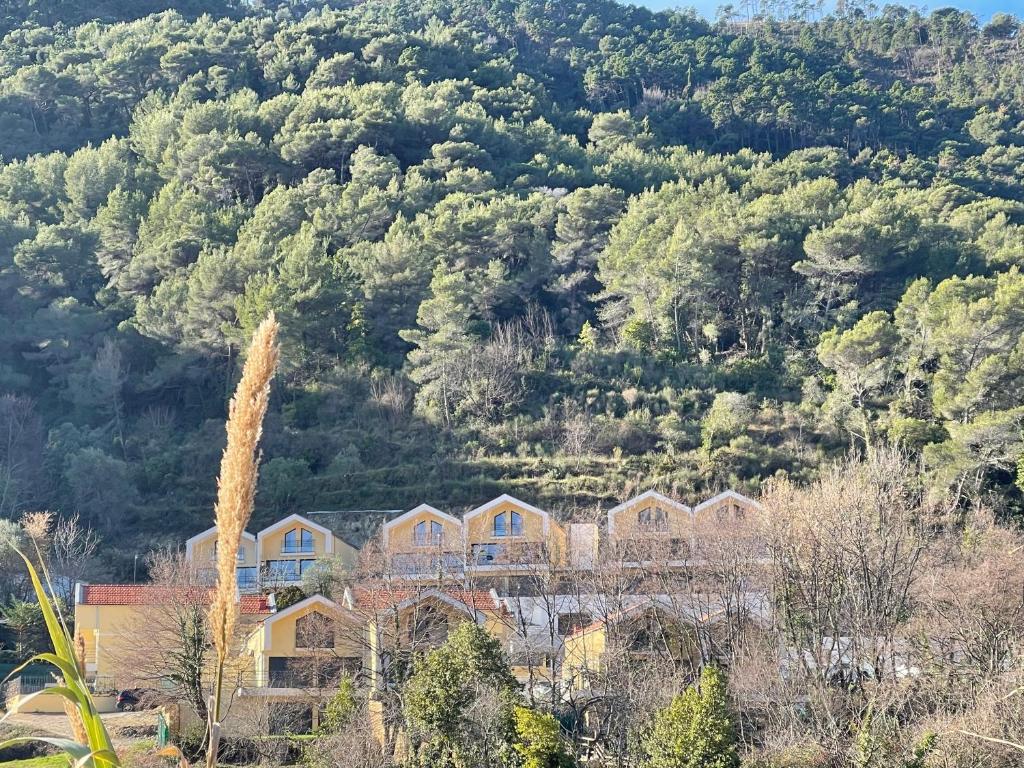 um grupo de casas em frente a uma montanha em Les jardins du Soleil em Gorbio